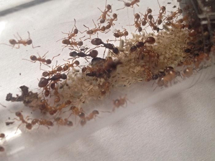  03.05.15, 10 24 30.jpg